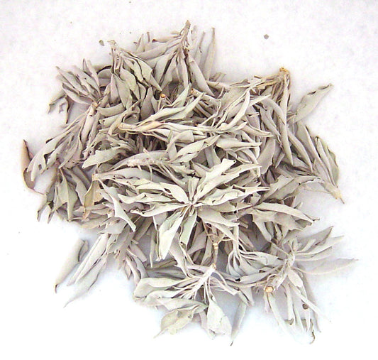 Turquoise Cloud - Loose Leaf Bulk, White Sage Clusters