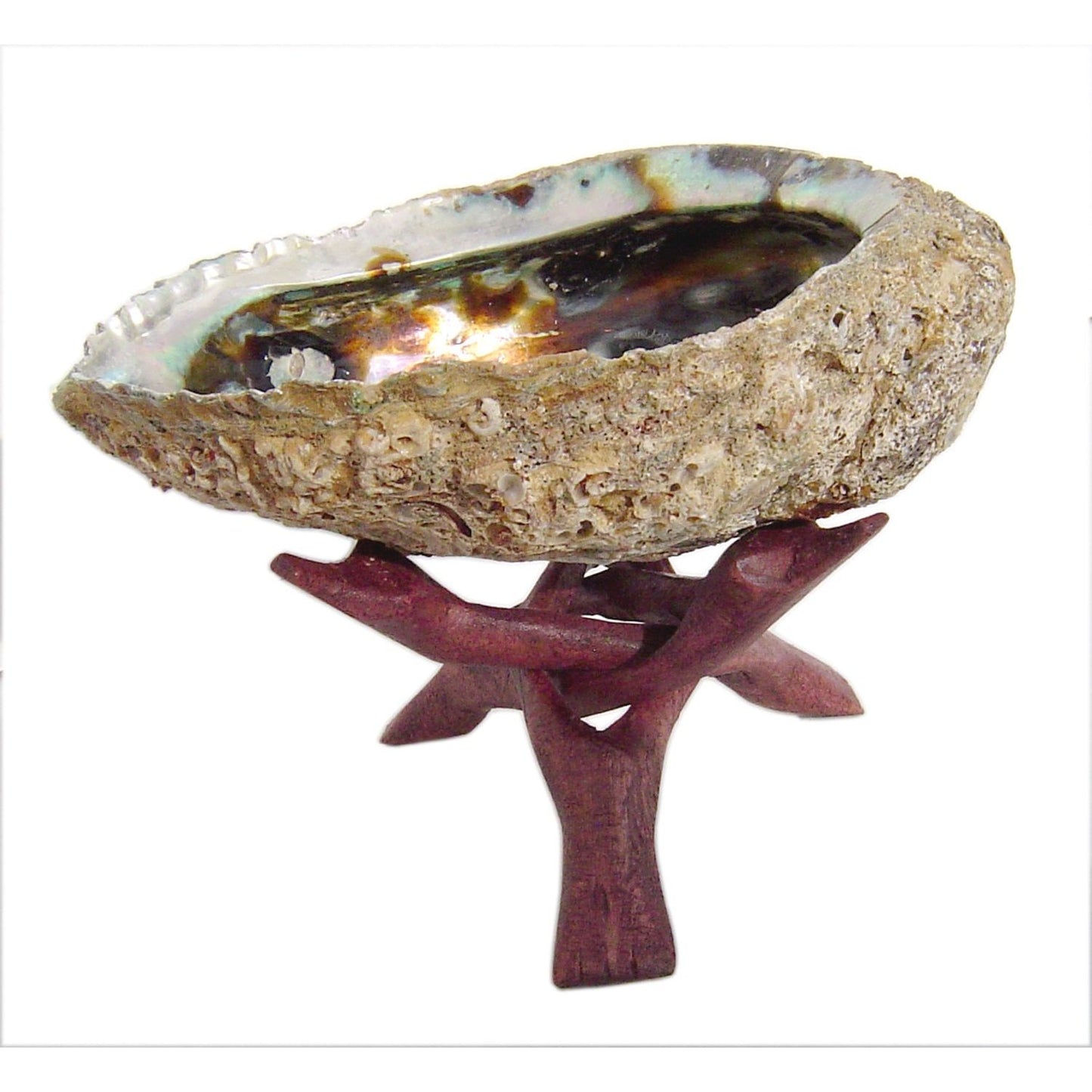 Burning Accessories - Cobra Stand