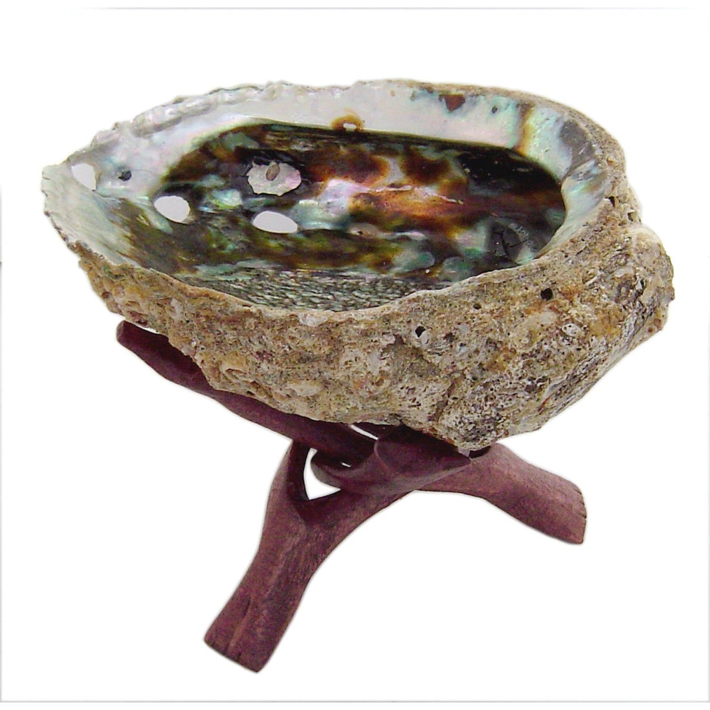 Burning Accessories - Cobra Stand